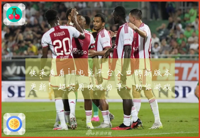 快来看看im电竞平台入口的新版本更新！超实用攻略分享，助你游戏更轻松！