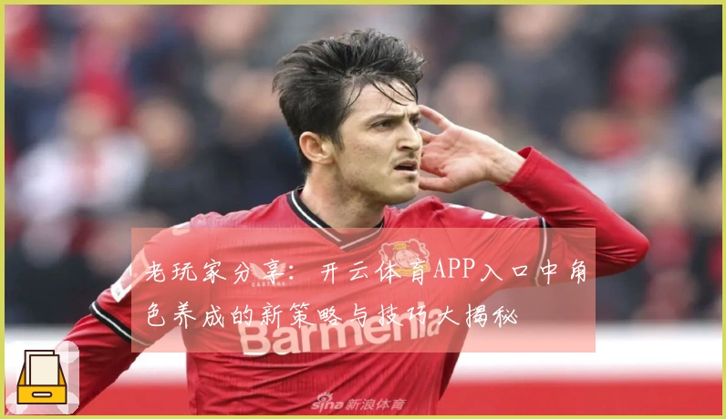 老玩家分享：开云体育APP入口中角色养成的新策略与技巧大揭秘