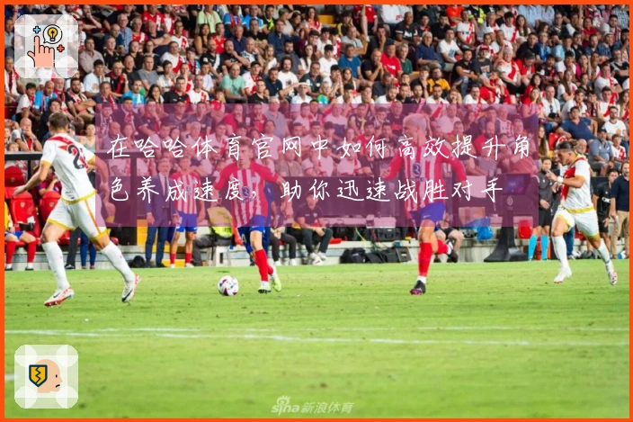 在哈哈体育官网中如何高效提升角色养成速度，助你迅速战胜对手