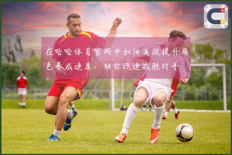 在哈哈体育官网中如何高效提升角色养成速度，助你迅速战胜对手