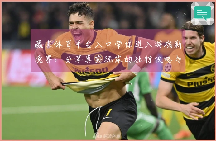 赢点体育平台入口带你进入游戏新境界，分享真实玩家的独特攻略与经验